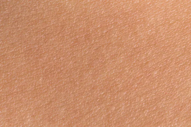 Imagen del tratamiento con zoom